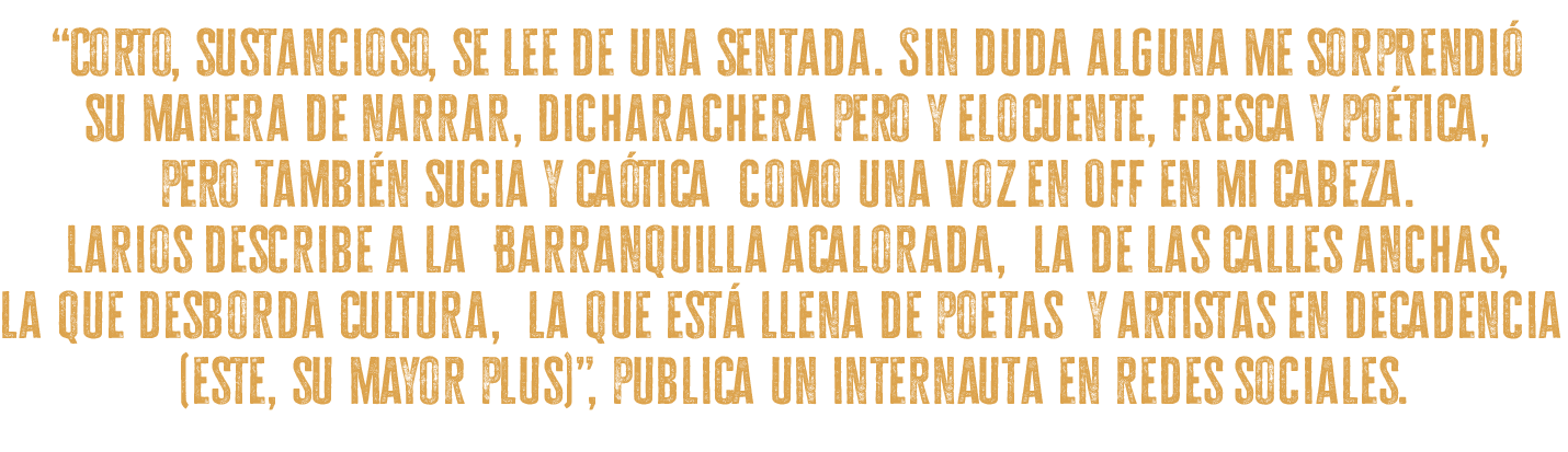 testimonio-irving-2 testimonio-irving-2