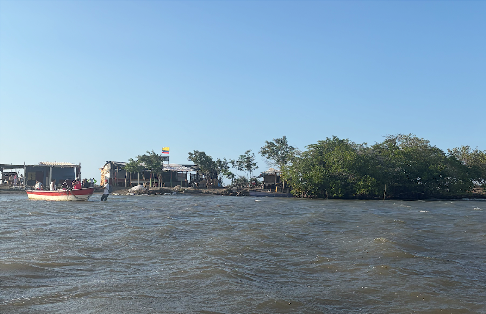 Raíces del manglar y el agua