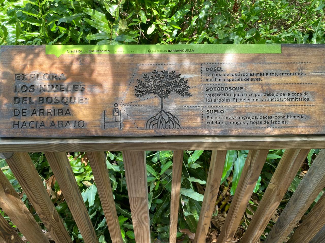 Ecosistemas de la Ciénaga de Mallorquín